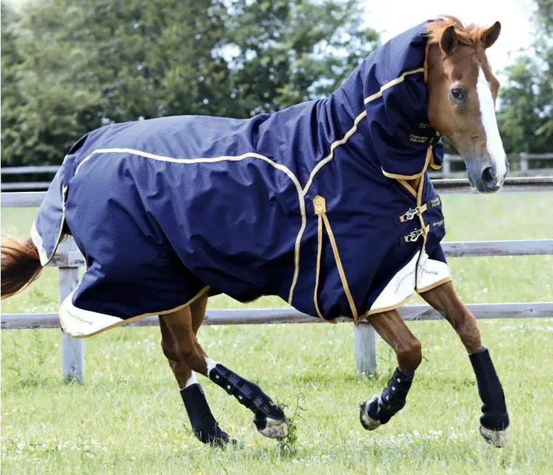 Horse Rugs
