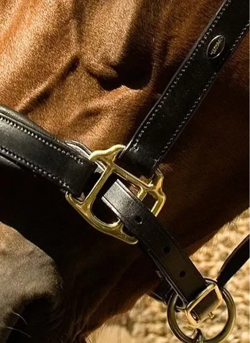 Heritage Padded Leather Headcollar - Cob - Black-1