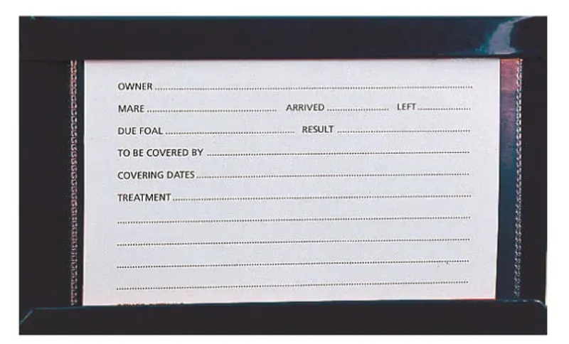 STUBBS Stud Card Holder in Black