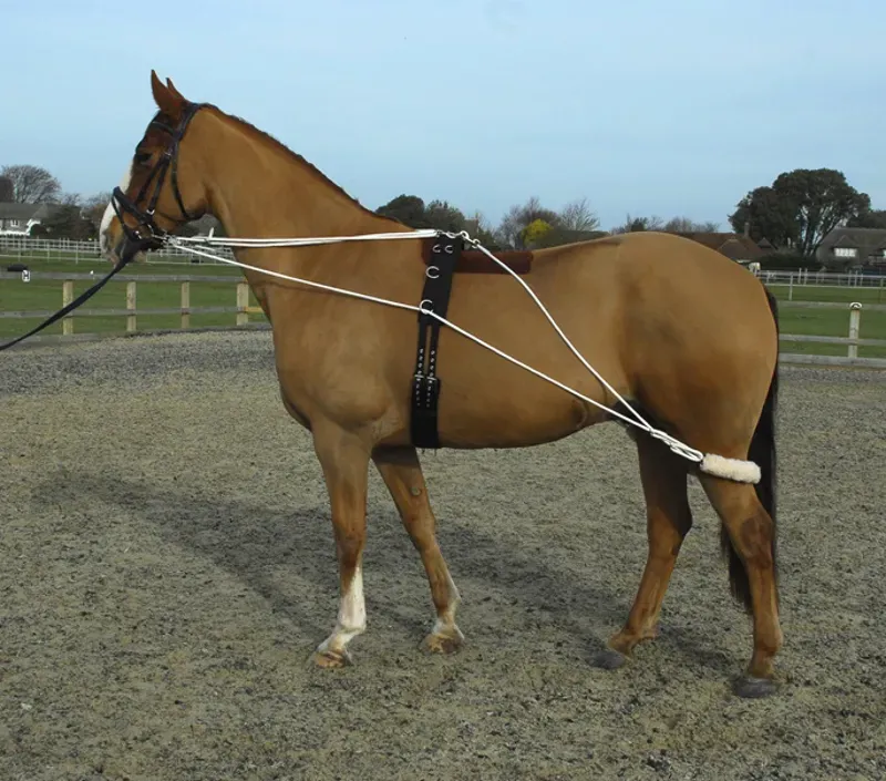 Rhinegold Training System with Roller-Full