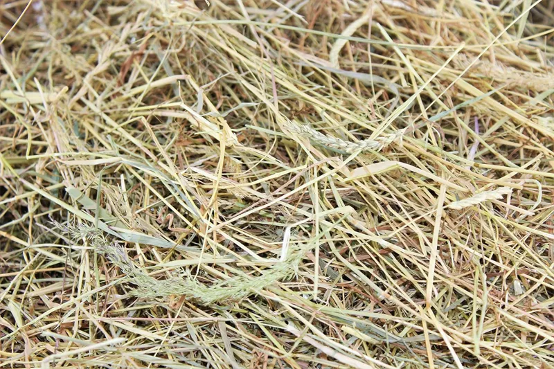 Meadow Hay Box 8kg-2