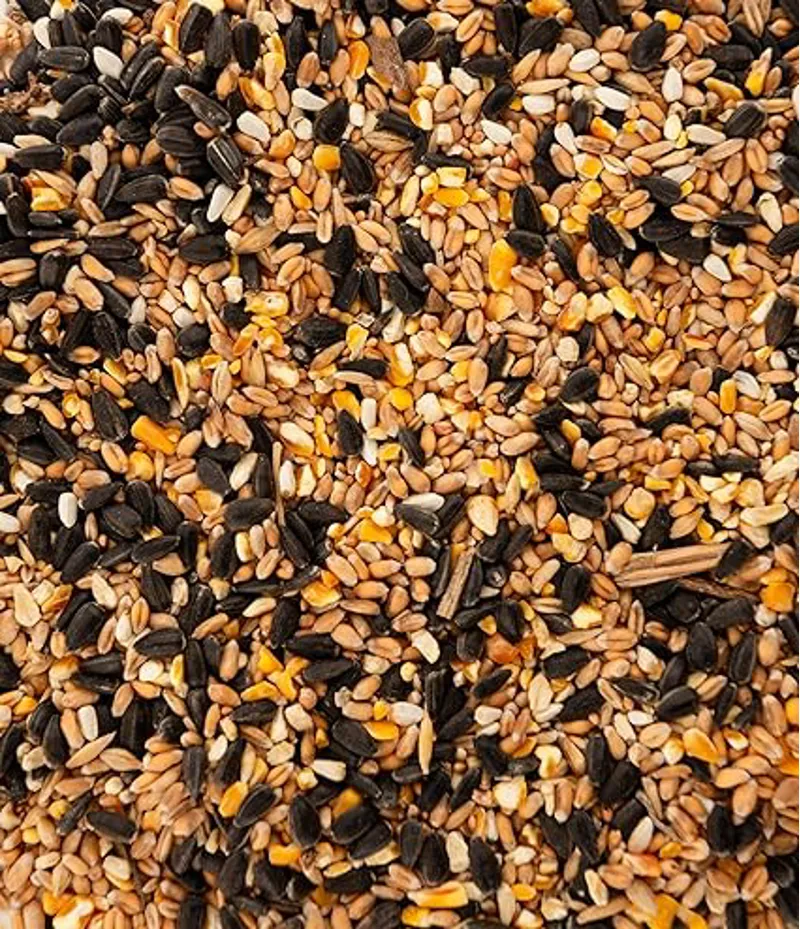 Shorefields Four Seasons Premium Bird Food 20kg-1