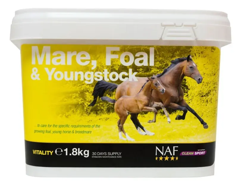 NAF Mare Foal and Youngstock in Yellow