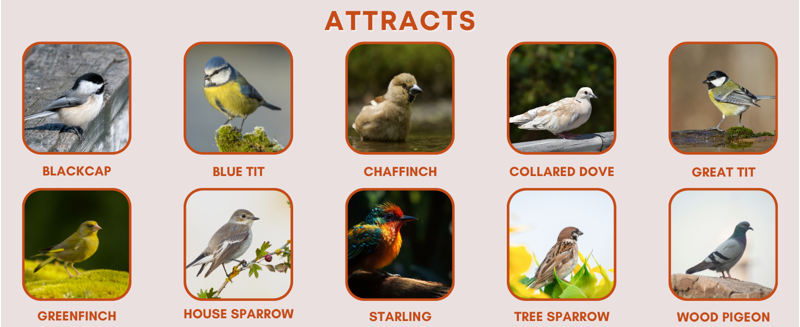 Shorefields Four Seasons Premium Bird Food 20kg-3