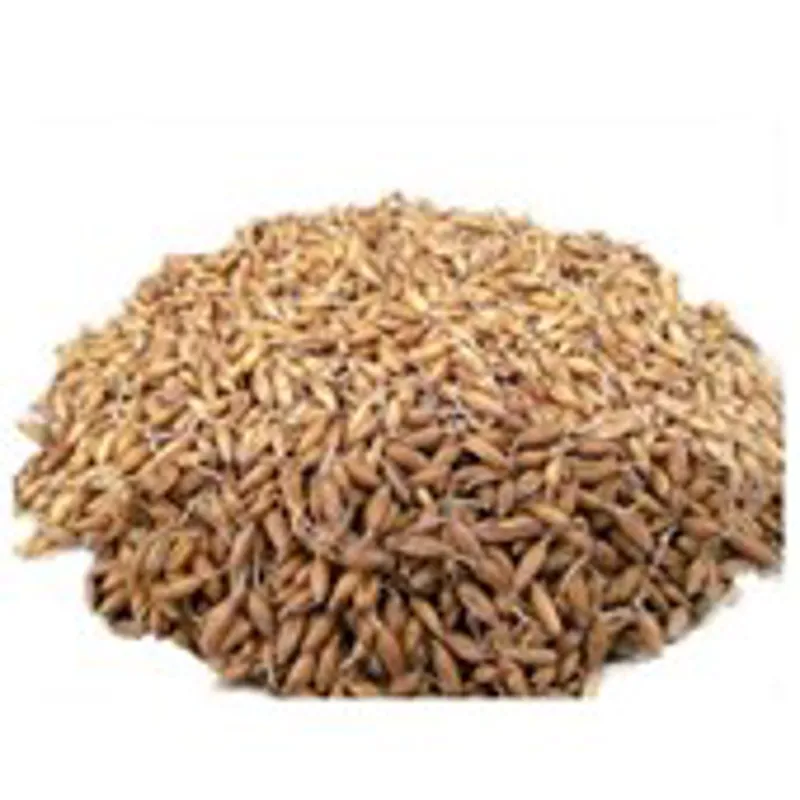 Thunderbrook Whole Organic Sprouting Oat