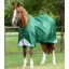 Premier Equine Akoni 0g Original Turnout Rug in Green