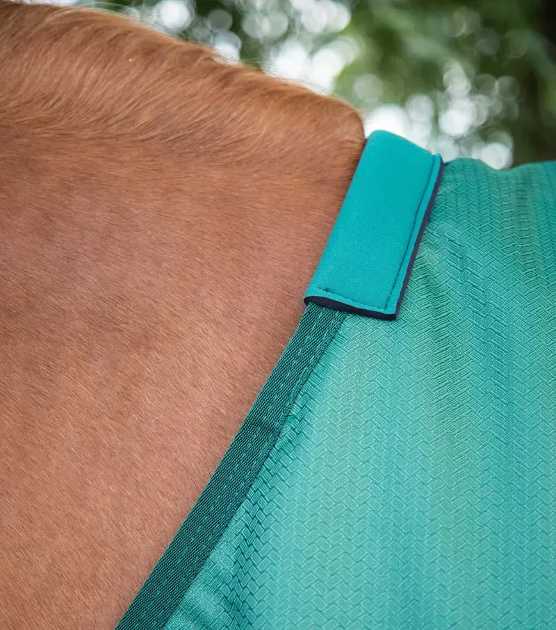 Premier Equine Akoni 0g Original Turnout Rug in Green-1