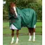 Premier Equine Akoni 0g Turnout Rug With Classic Neck Cover in Green