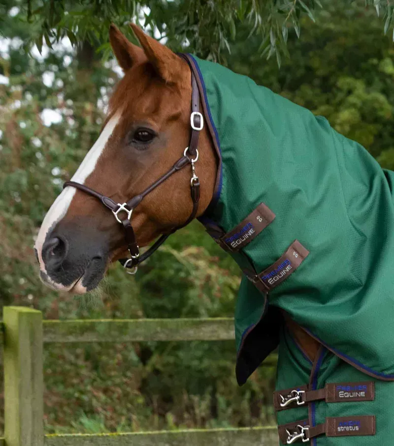 Premier Equine Akoni 0g Turnout Rug With Classic Neck Cover in Green-2