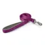 Ancol Viva Padded Lead in Purple