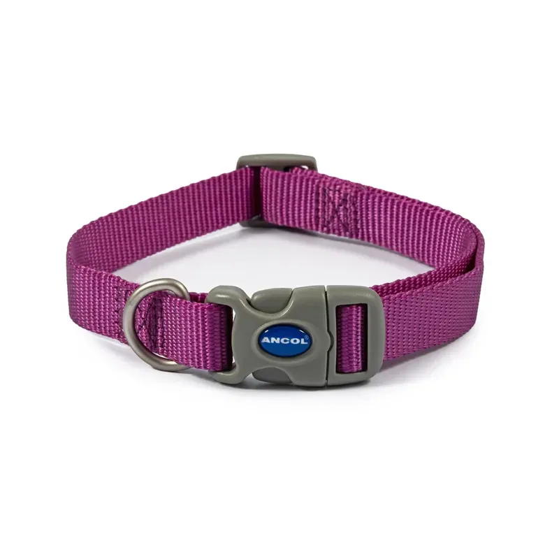 Ancol Viva Adjustable Collar in Purple