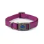 Ancol Viva Adjustable Collar in Purple