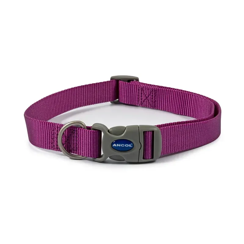 Ancol Viva Adjustable Collar in Purple