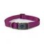 Ancol Viva Adjustable Collar in Purple