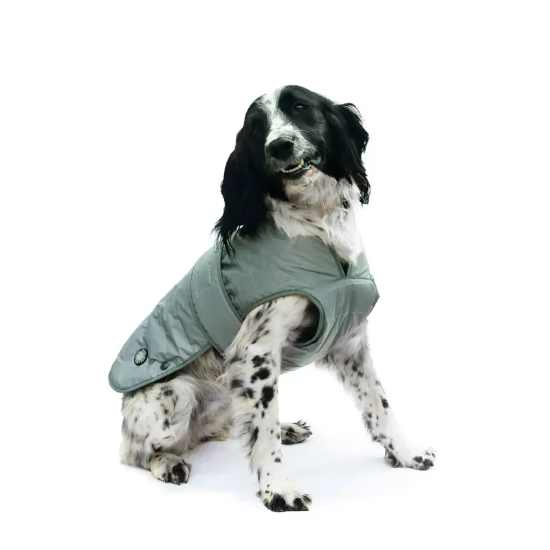 Ancol Small 30 x 44-56cm Ultimate Reflective Dog Coat in Reflective Silver