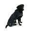 Ancol X-Small 25cm X 23-42cm Stormguard Dog Coat in Navy Blue