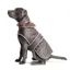 Ancol X-Small 25cm X 23-42cm Stormguard Dog Coat in Chocolate