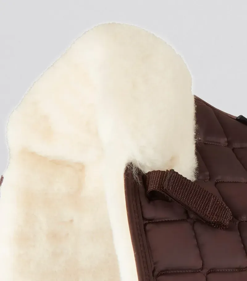 Premier Equine Atlantis CC Satin Wool Dressage Square in Brown/Natural-2