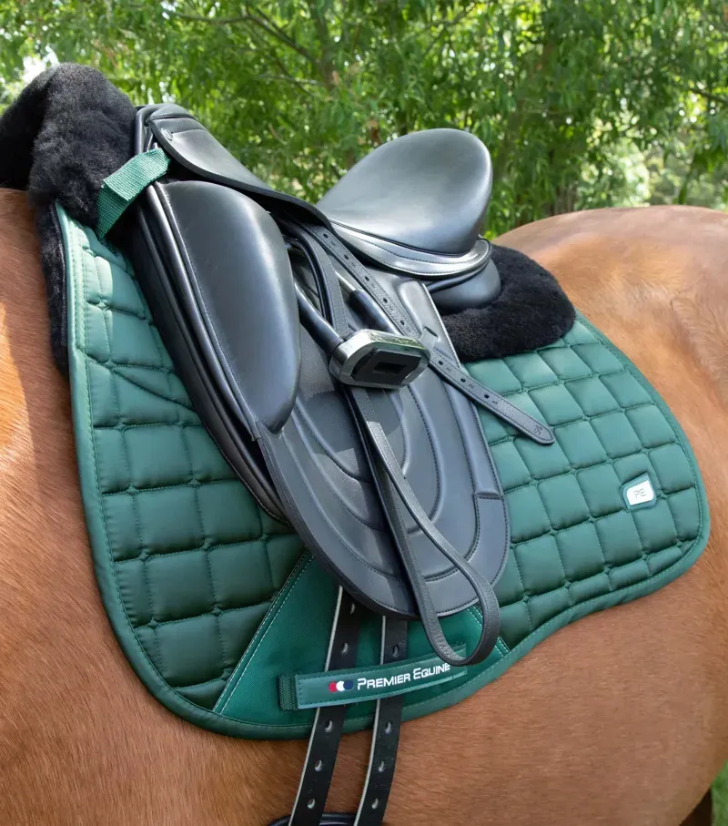 Premier Equine Atlantis CC Satin Wool Dressage Square in Olive/Black-1