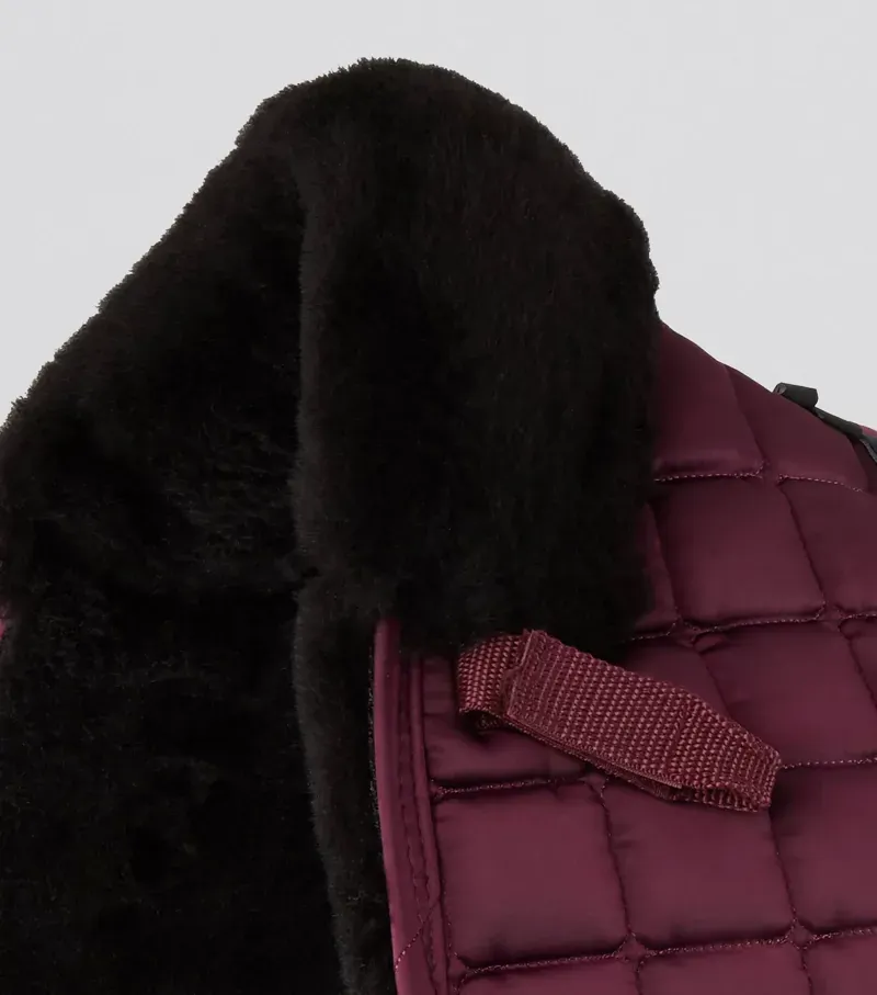 Premier Equine Atlantis CC Satin Wool Dressage Square in Wine/Black-2