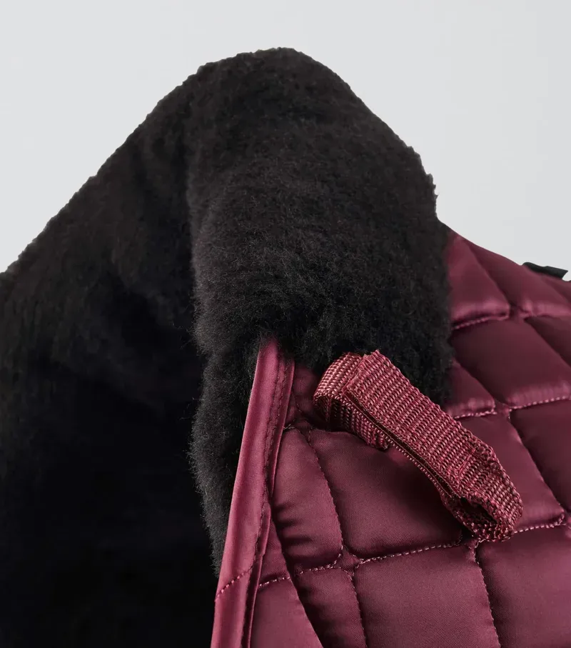 Premier Equine Atlantis CC Satin Wool GP/Jump Square in Wine/Black-2