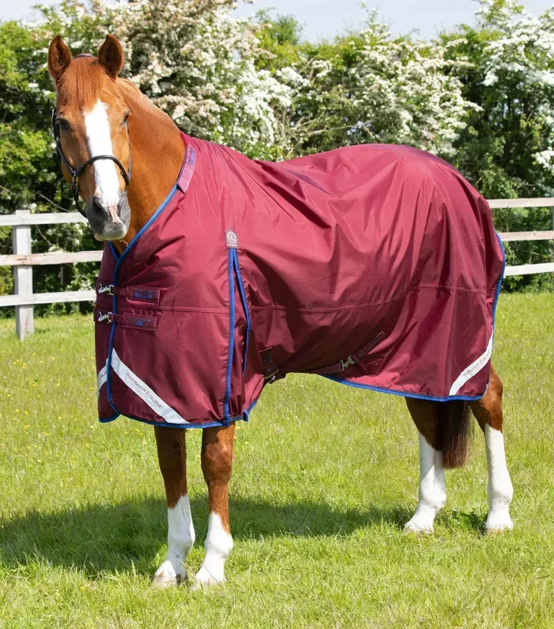 Premier Equine Buster 40g Turnout Rug With Classic Neck Cover in Burgundy-2