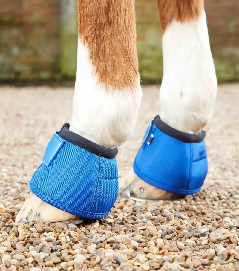 Premier Equine Ballistic No-Turn Over Reach Boots in Royal Blue-1