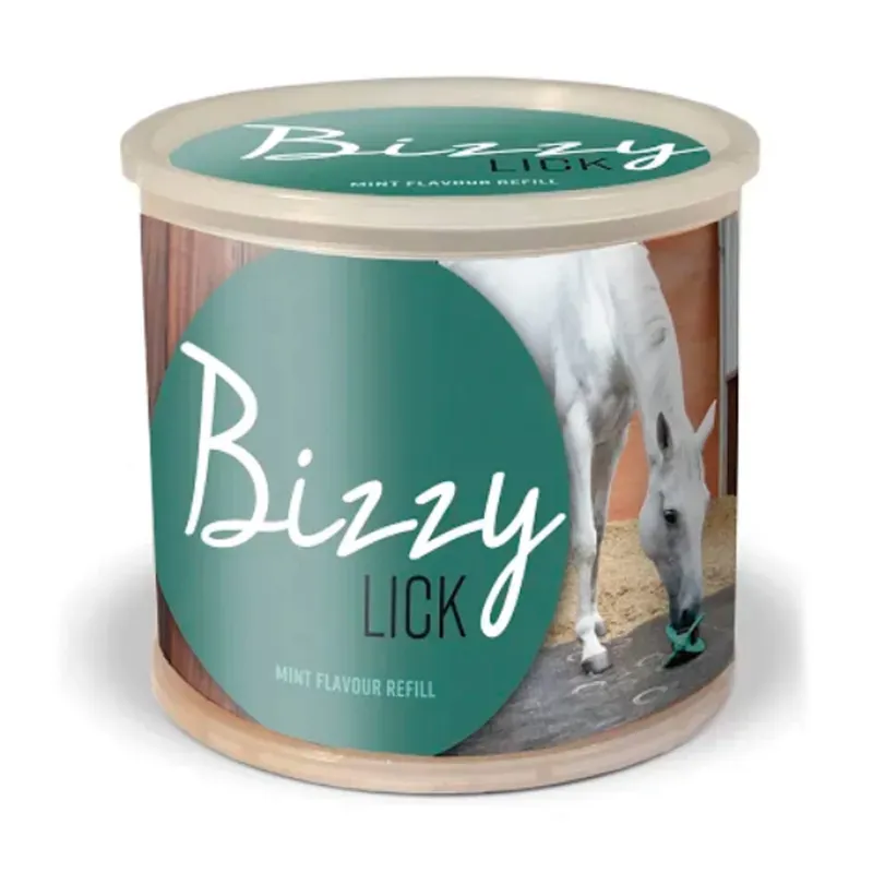 Bizzy Bites Refill - Mint