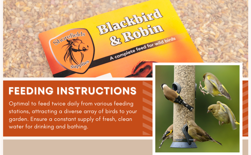 Shorefields Robin and Small Bird Food 20kg-2