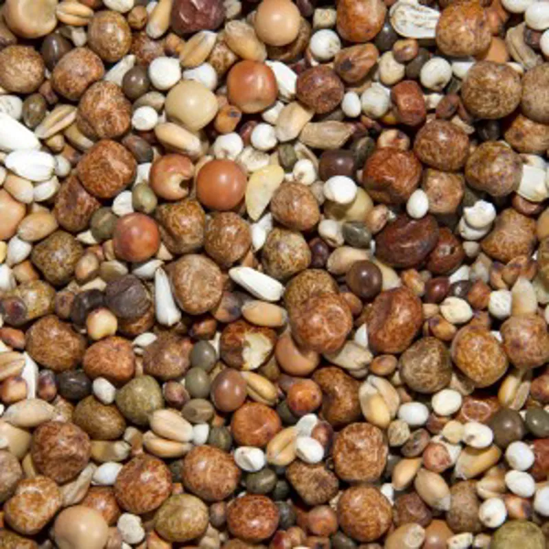 Bamfords Top Flight Breed And Wean 20kg-1