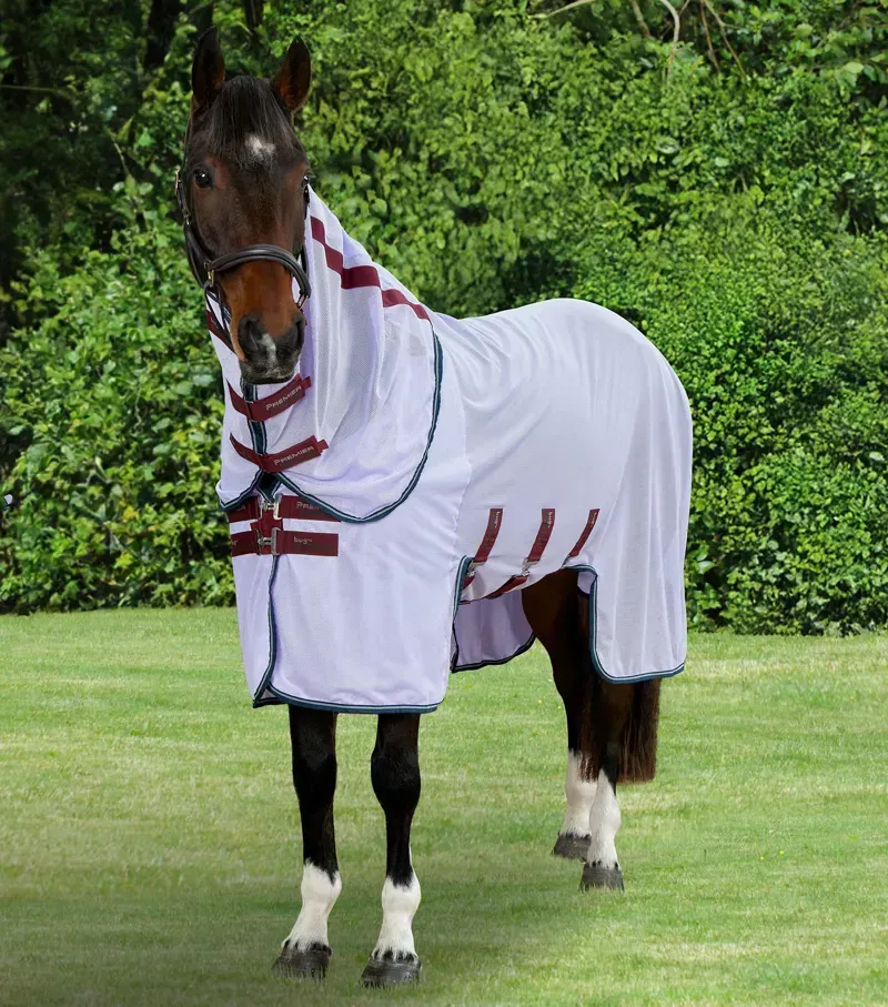 Premier Equine Bug Buster Fly Rug With Detachable Neck And Belly Flap in Lavender