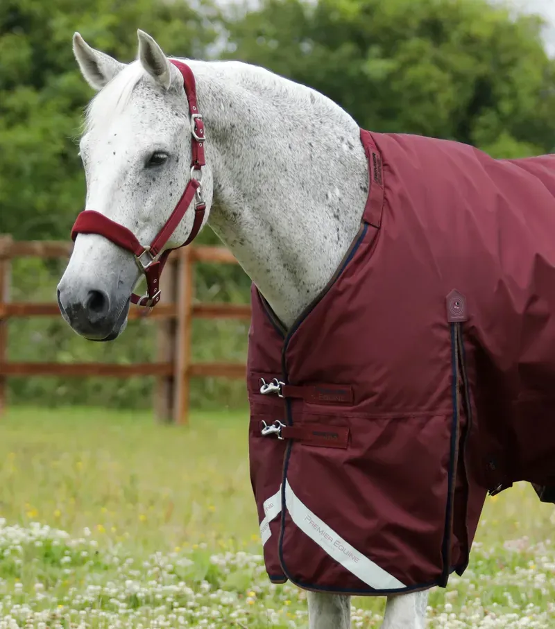 Premier Equine Buster 400g Turnout Rug With Snug-Fit Neck Cover in Burgundy-1