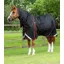 Premier Equine Buster 420g Turnout Rug With Classic Neck Cover in Black