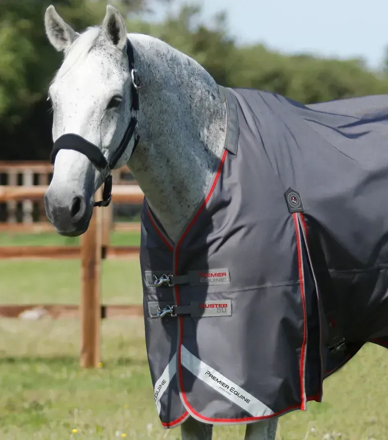 Premier Equine Buster 50g Turnout Rug With Snug-Fit Neck Cover in Grey-1