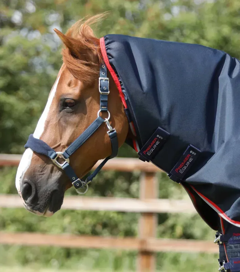 Premier Equine Buster 50g Turnout Rug With Snug-Fit Neck Cover in Navy-1