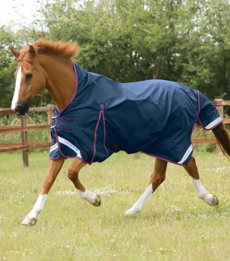 Premier Equine Buster Hardy 0g Half Neck Turnout Rug in Navy