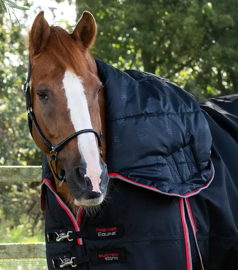 Premier Equine Buster Storm 400g Combo Turnout Rug With Snug-Fit Neck in Black-1