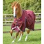 Premier Equine Buster Zero Original Turnout Rug in Burgundy