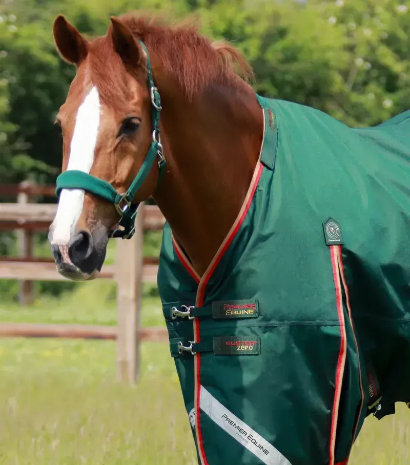 Premier Equine Buster Zero Turnout Rug With Classic Neck Cover in Green-1