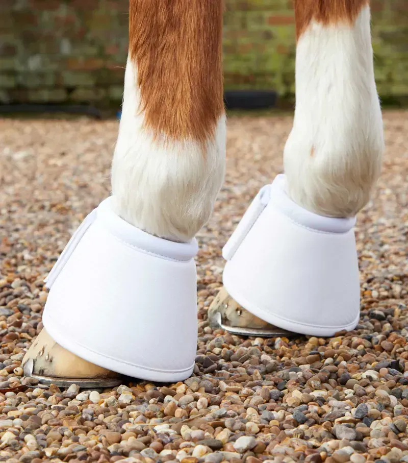 Premier Equine Carbon Wrap Over Reach Boots in White-1