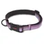 The Company Of Animals HALTI Large Collar in Purple