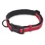 The Company Of Animals HALTI Small Collar in Red