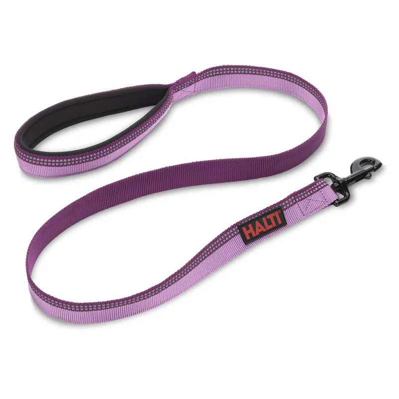 The Company Of Animals HALTI Large Lead in Purple