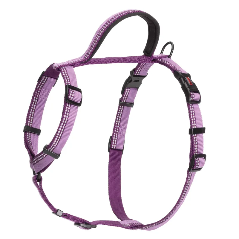 The Company Of Animals HALTI Large Walking Harness in Purple