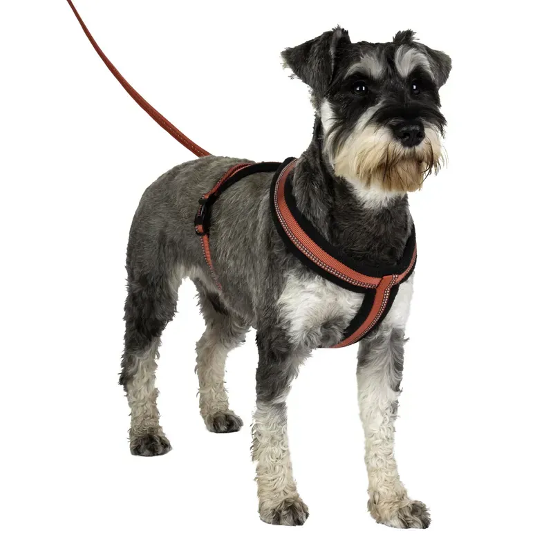 Halti X-Large Comfy Harness in Red 