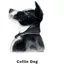 Kevin Milner Countryside Cards in Collie Dog