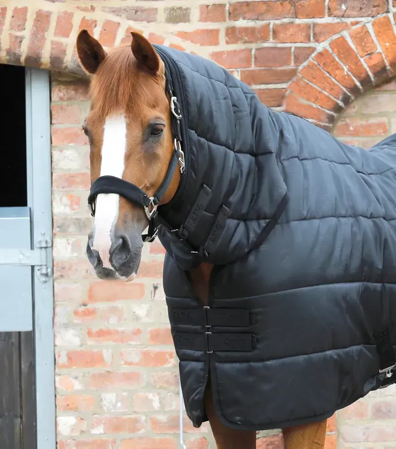 Premier Equine Combo Horse Rug Liner in Black-1