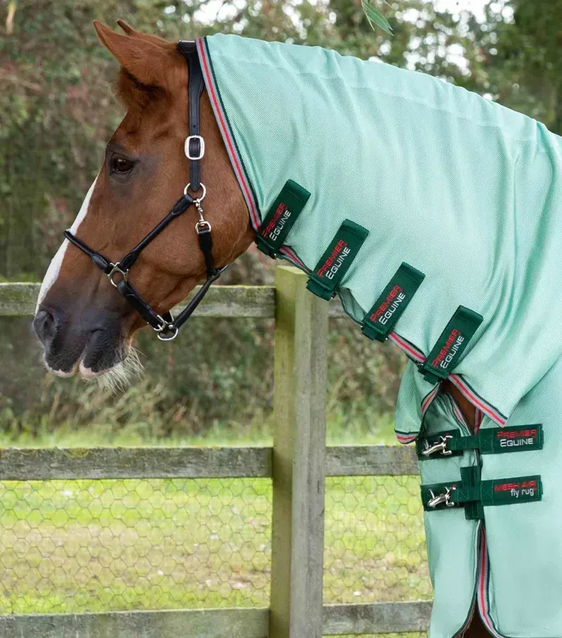 Premier Equine Combo Mesh Air Fly Rug With Surcingles in Mint Green-1