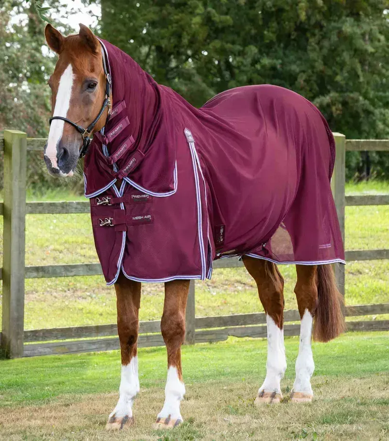 Premier Equine Combo Mesh Air Fly Rug With Surcingles in Wine