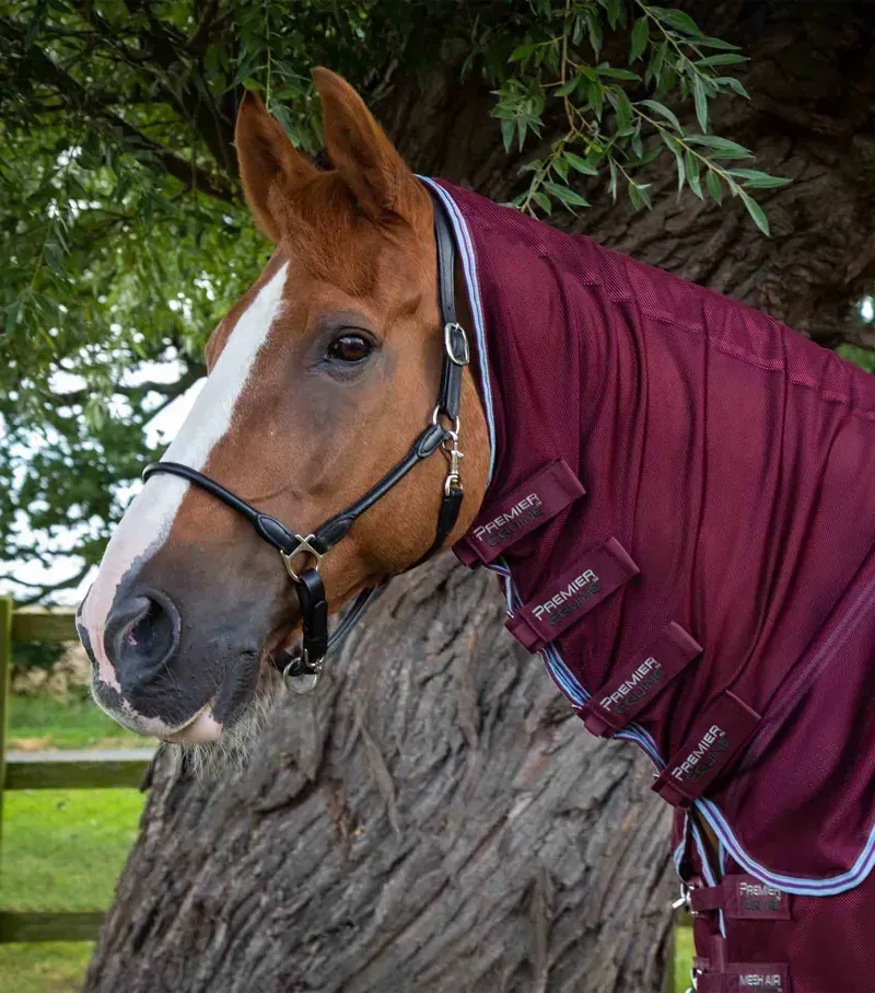 Premier Equine Combo Mesh Air Fly Rug With Surcingles in Wine-1